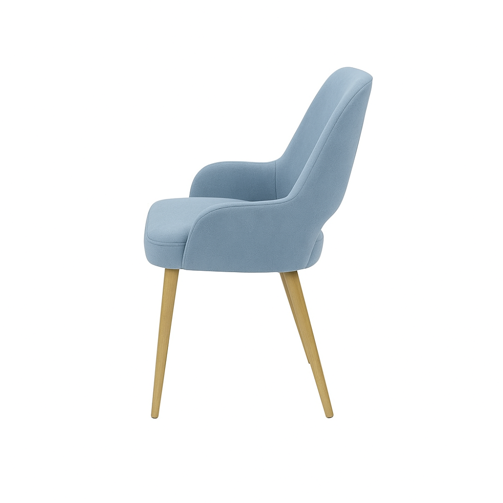 Scaun catifea ROZ | model HUGO