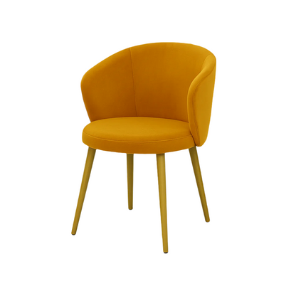 Scaun catifea BORDO | model JAY