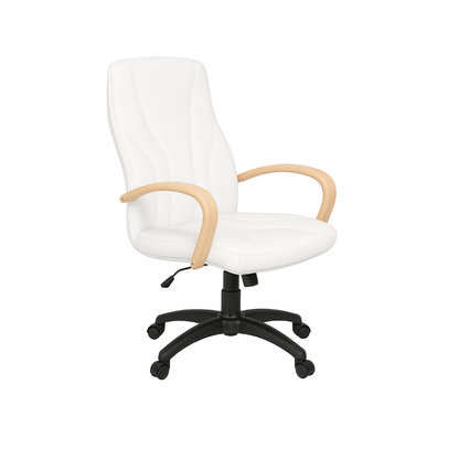 Scaun birou piele ALBA | model BETA P