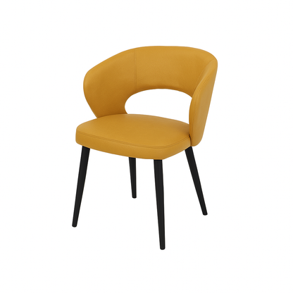 Scaun piele ALBA | model CASIUS